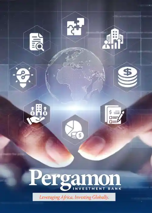 Pergamon-Company-Profile-May-2025